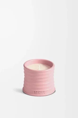 Küçük Ivy mum Açık Pembe