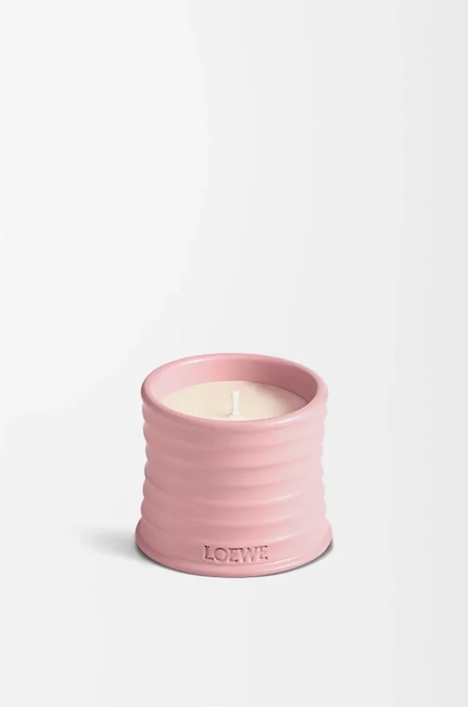 Küçük Ivy mum Açık Pembe