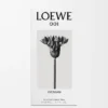LOEWE 001 Kadın Eau de Parfum 50 ml Renksiz