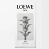 LOEWE 001 Man Eau de Toilette 50 ml Renksiz