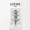 LOEWE 001 Man Eau de Toilette 50 ml Renksiz