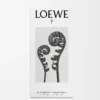 LOEWE 7 Eau de Toilette 50 ml Renksiz