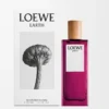 LOEWE Earth Eau de Parfum 50 ml Mor