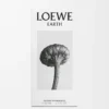 LOEWE Earth Eau de Parfum 50 ml Mor