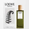 LOEWE Esencia Eau de Parfum 50 ml Renksiz