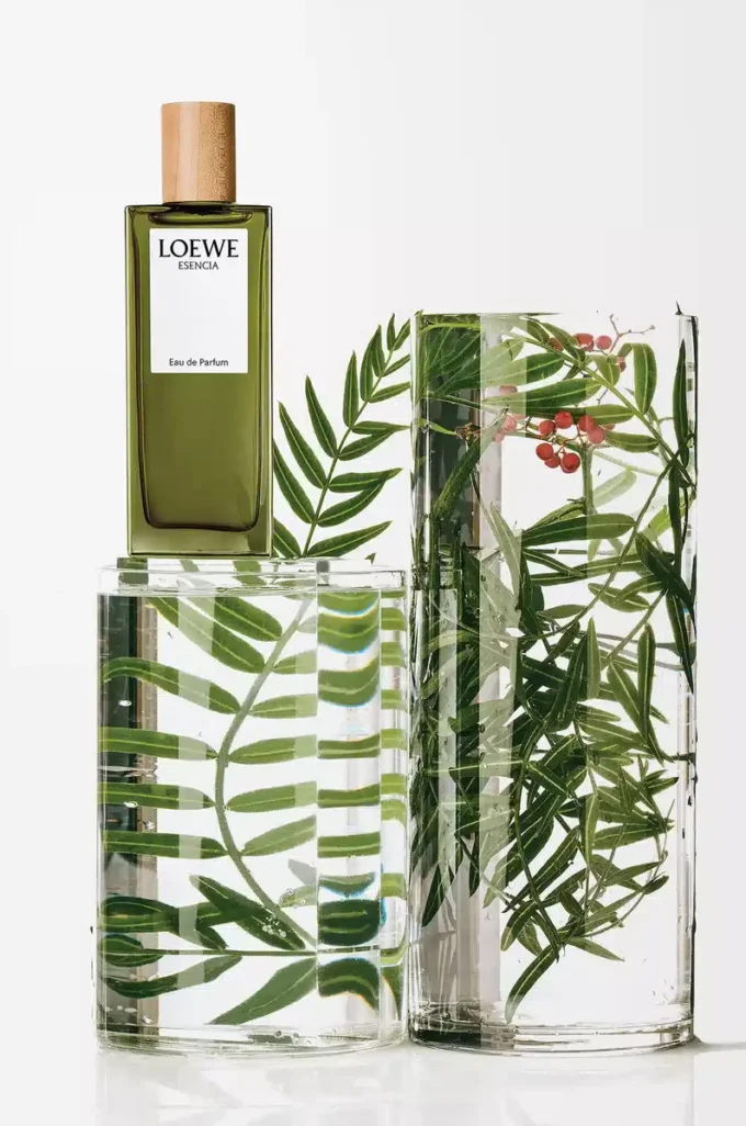 LOEWE Esencia Eau de Parfum 50 ml Renksiz