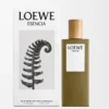 LOEWE Esencia EDT 50 ml Renksiz