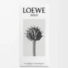 LOEWE Solo Eau de Toilette 50 ml Renksiz