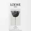 LOEWE Solo Ella Eau de Parfum 50 ml Renksiz