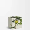 Midi Earl Grey kokulu mum Altın