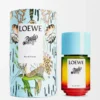 Paula’s Ibiza Eau de Toilette 50 ml Renksiz
