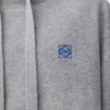 Yünlü kapüşonlu sweatshirt Açık gri melanj
